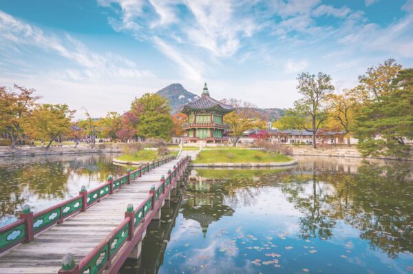 Republic of Korea Voice eSIM - Image 2